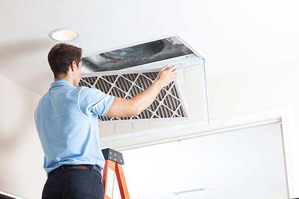 Best Local HVAC Companies  in Lockport, NY